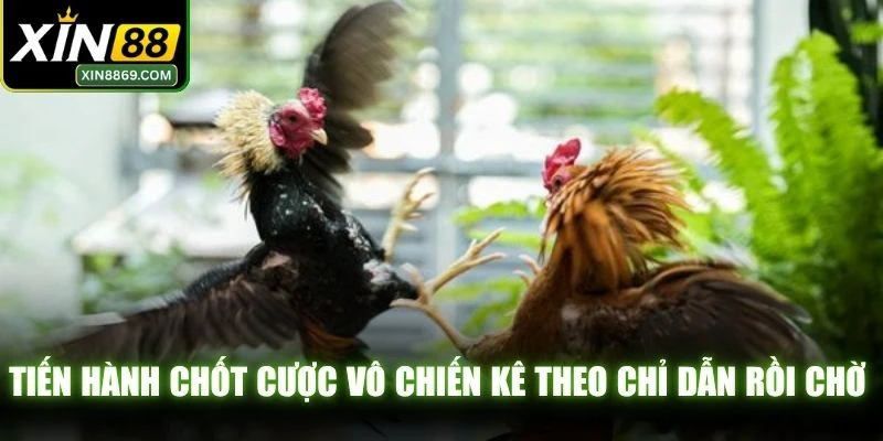 Tiến hành chốt cược vô chiến kê theo chỉ dẫn rồi chờ kết quả